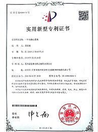 双偏心块-实用新型专利
